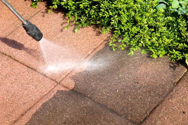 Best Power Washing Near Me  in Sisseton, SD